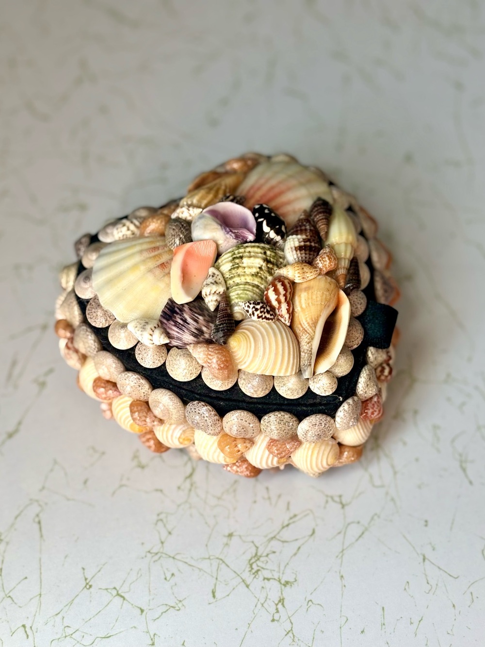 Vintage Seashell Trinket or Jewelry Box | Black Velvet Lined 4.5 inches Wide